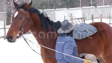 冬天，骑手在开阔的围场里骑着一匹听话的棕马，为比赛做准备